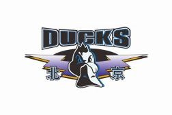 爱游戏下载-北京男篮安排了相关人员观看NBA夏联 对心仪的外援进行了考察